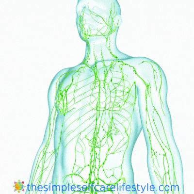 Improve Lymph System Function. Male/Female Lymph Illustration