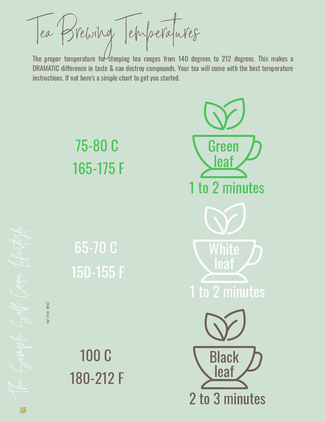 21 Safest Non Toxic Tea Kettles 2024