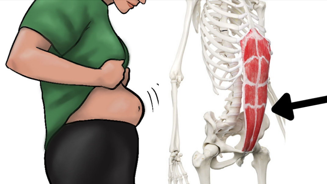 drawing woman looking down at belly to the right illustration of the actual ab muscle