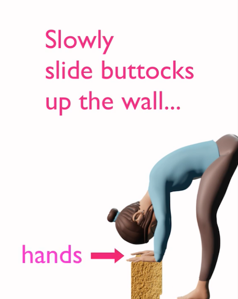 Hamstring Muscle Stretch using the wall and yoga blocks as props