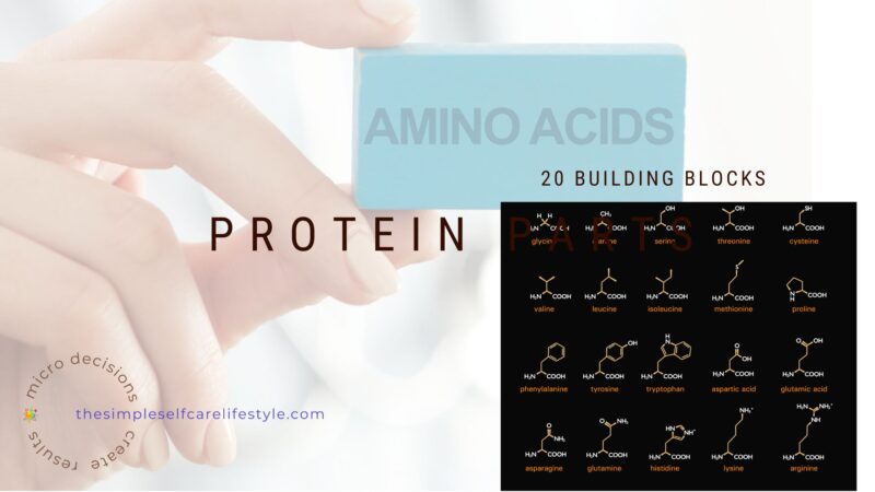 Why Proteins Are Important Part 2 of 3 - The Simple Self Care Lifestyle