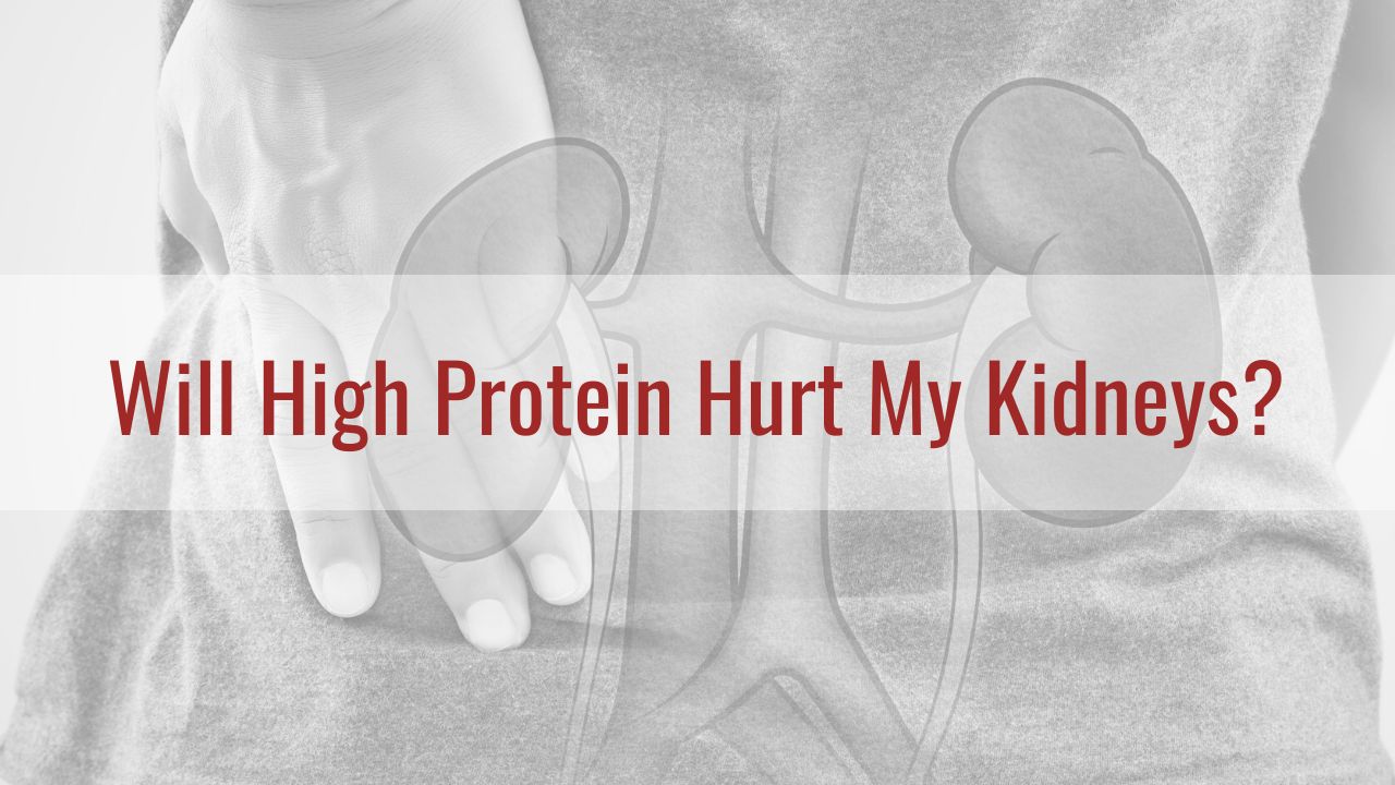 Protein how much do I need and will it hurt ny Kidneys