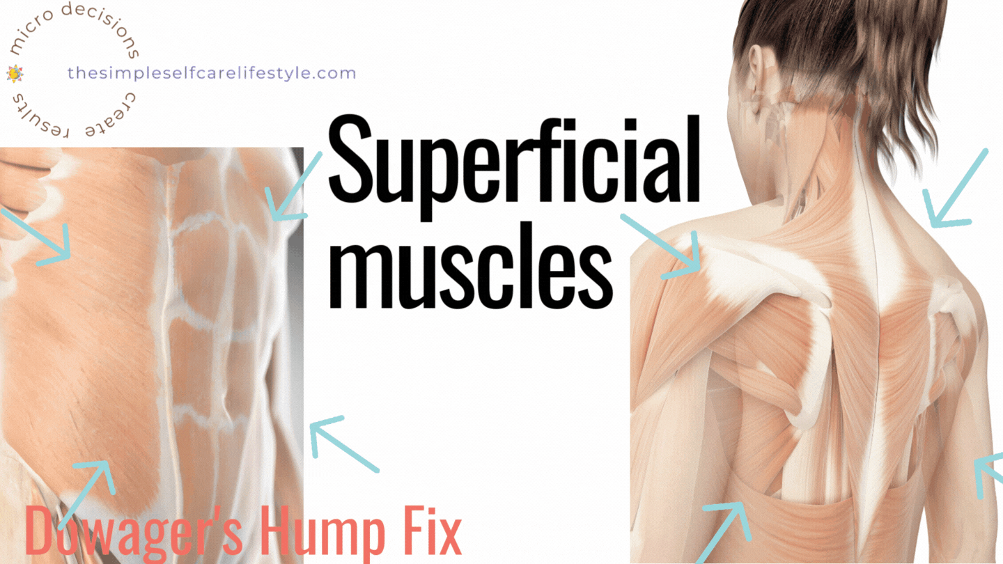 Neck hump: Superficial Muscles Work Out to Improve Posture