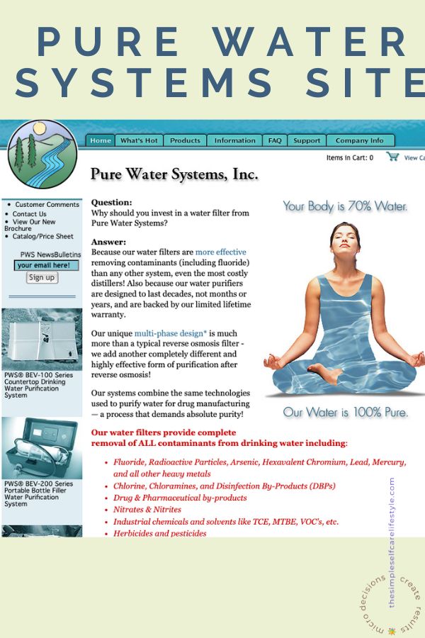 The Best Water Filter Front page of purewatersystems.com website