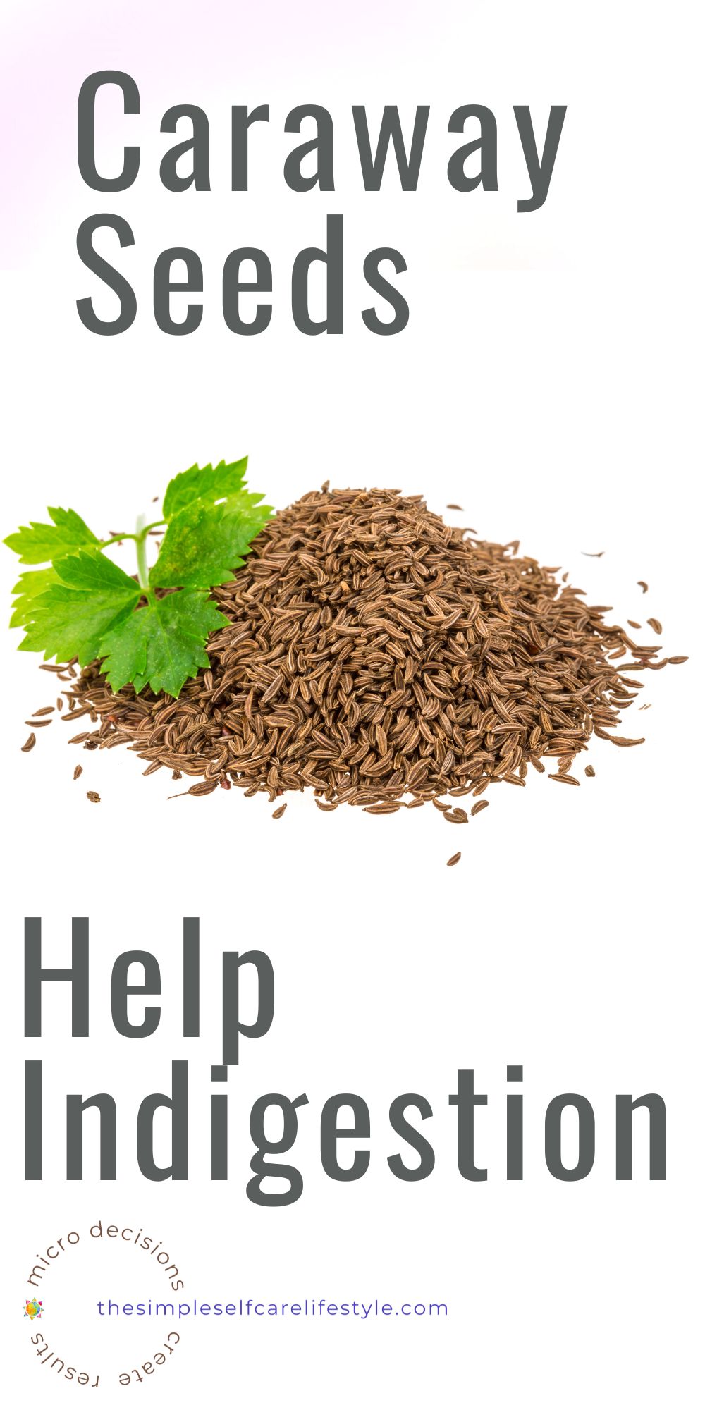 Small pile of Caraway Seeds and words. Caraway Seeds Indigestion Helper