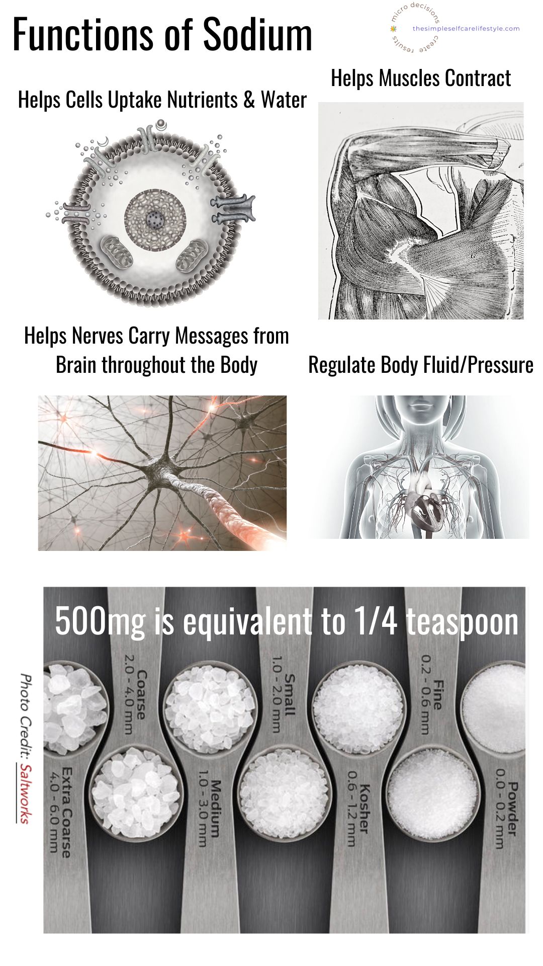 Salt or Sea Salt illustrations of cell, muscles, nerves, vascular system all need sodium. Small teaspoons on bottom half with different sizes of salt granules