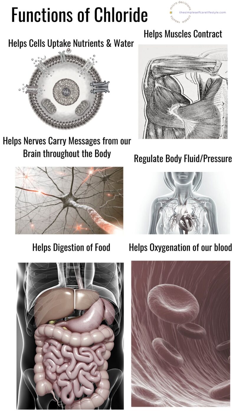 WHAT DOES CHLORIDE DO FOR THE HUMAN BODY visual data 6