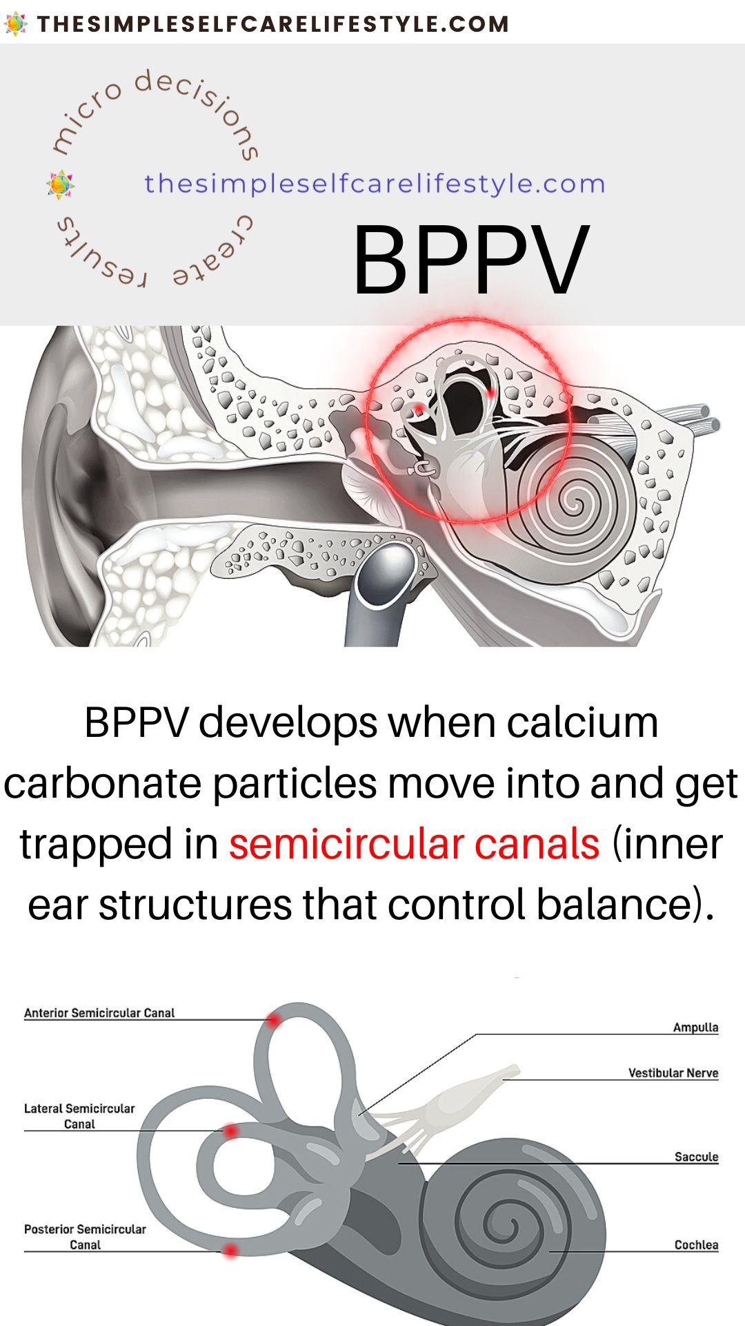 what helps for vertigo is being aware and exploring with your practitioner the possibility of BPPV