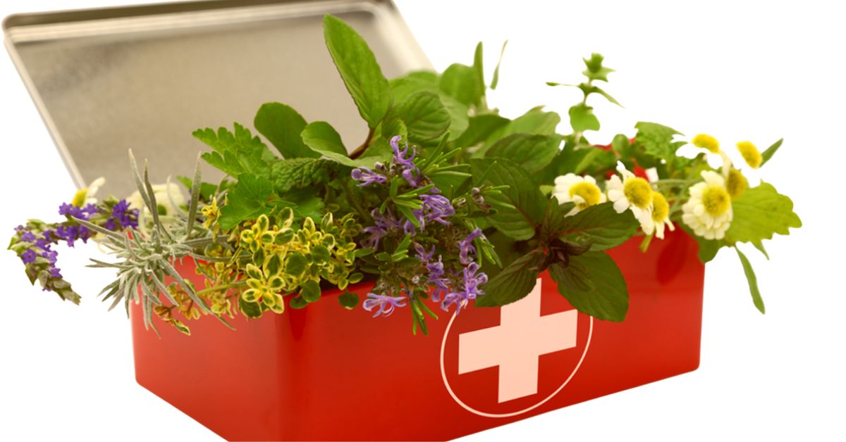 Shop Products to keep on hand for life's little emergencies. The Photo is a red first aid kit with white cross representing First aid. Herbs are going out of it.